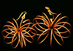 Ancient Style Earrings by E.J. Gold